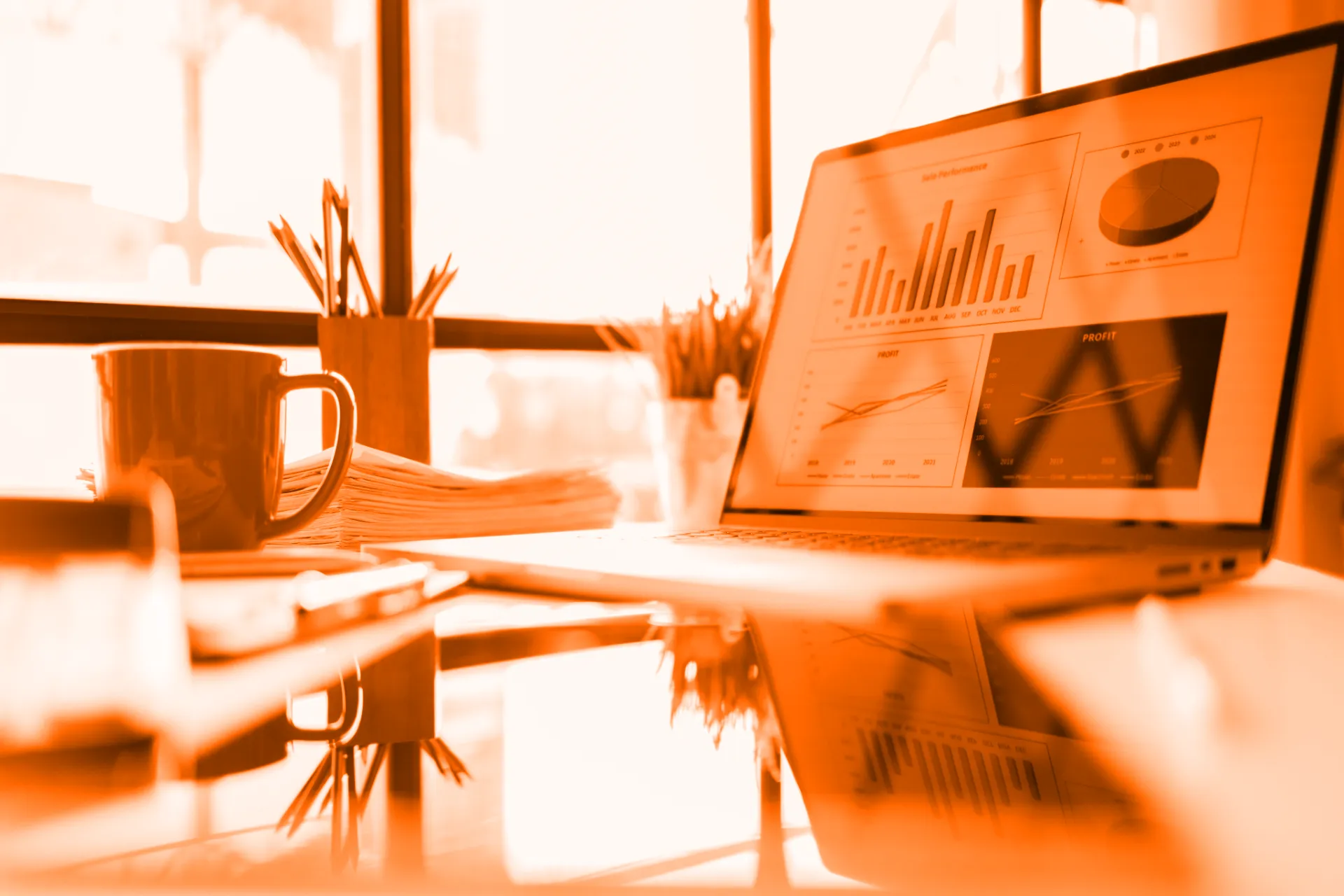 Laptop screen showing website audit report